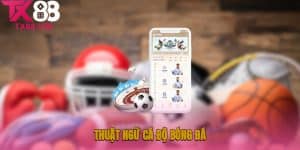 thuật ngữ cá độ bóng đá