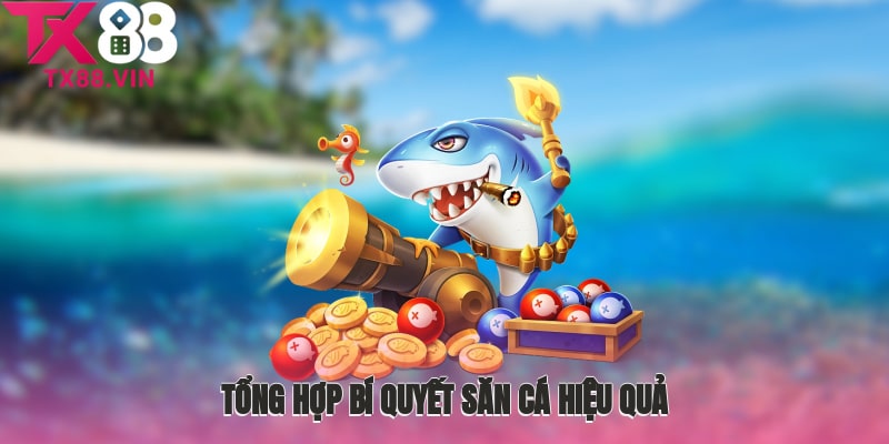 Tổng hợp bí quyết săn cá hiệu quả được cao thủ bật mí